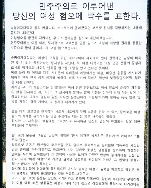 대자보 '민주주의로 이루어낸 여성 혐오에 박수를 표한다.' 이미지